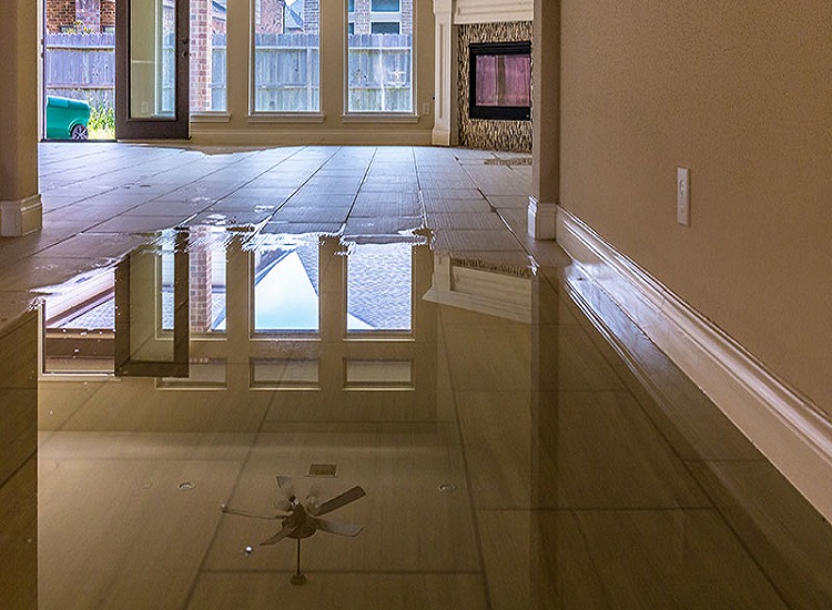 A Professional Ensures Smooth Water Damage Restoration Board man Ohio